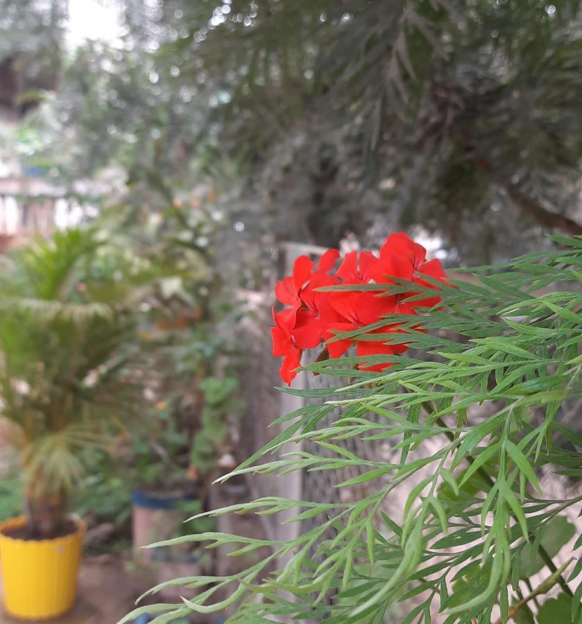 Trimurti Holiday Home Panchgani Exteriér fotografie