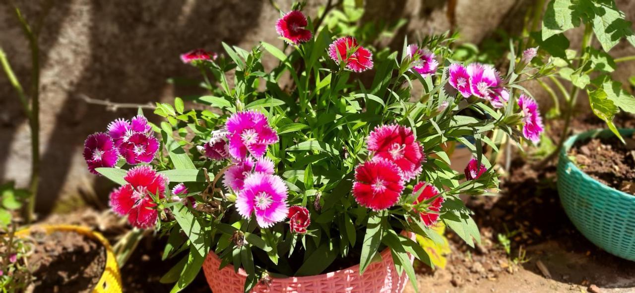 Trimurti Holiday Home Panchgani Exteriér fotografie