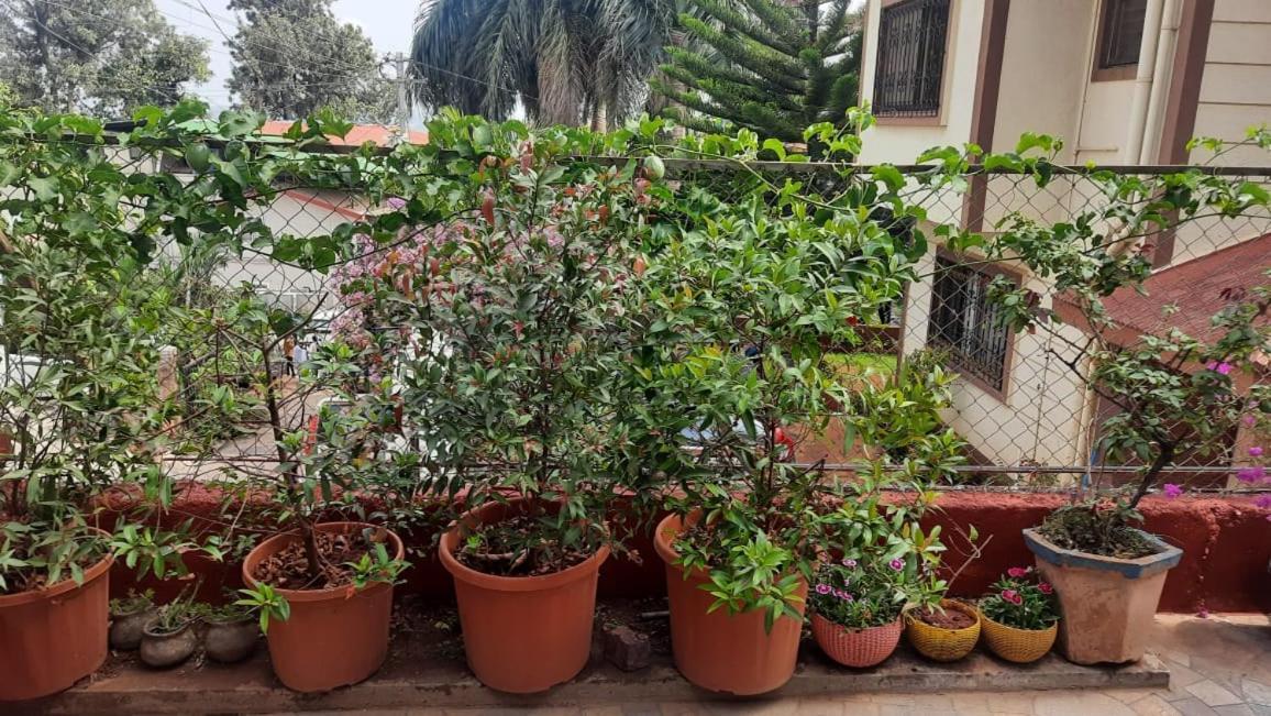 Trimurti Holiday Home Panchgani Exteriér fotografie