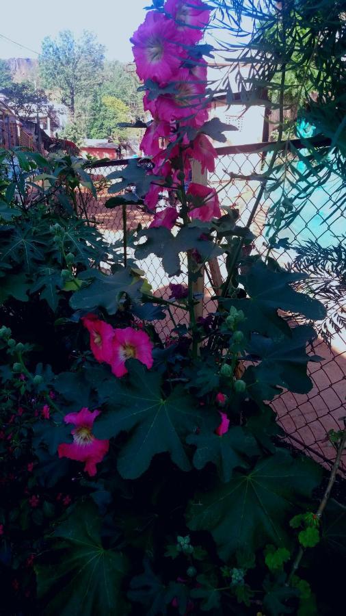 Trimurti Holiday Home Panchgani Exteriér fotografie